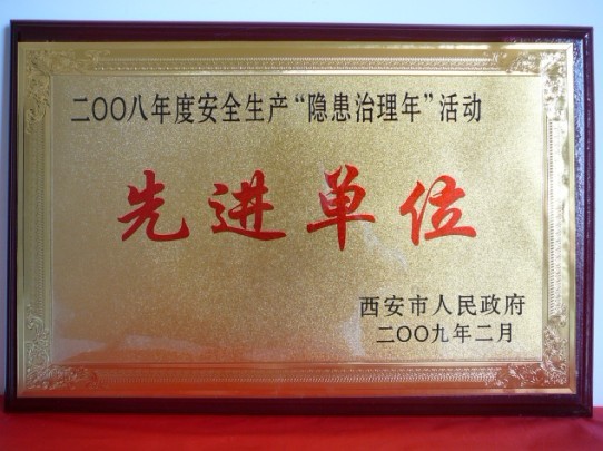 2009年2月，被西安市人民政府评为2008年度安全生产“隐患治理年”活动先进单位