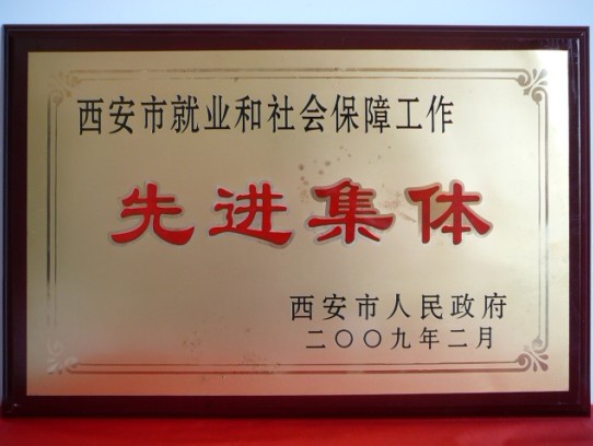 2009年2月，被西安市政府评为西安市就业和社会保障工作先进集体